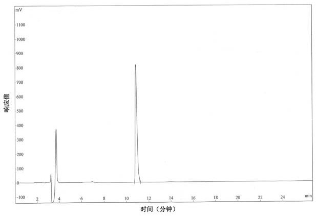 Umami peptide, composition containing umami peptide and application of umami peptide