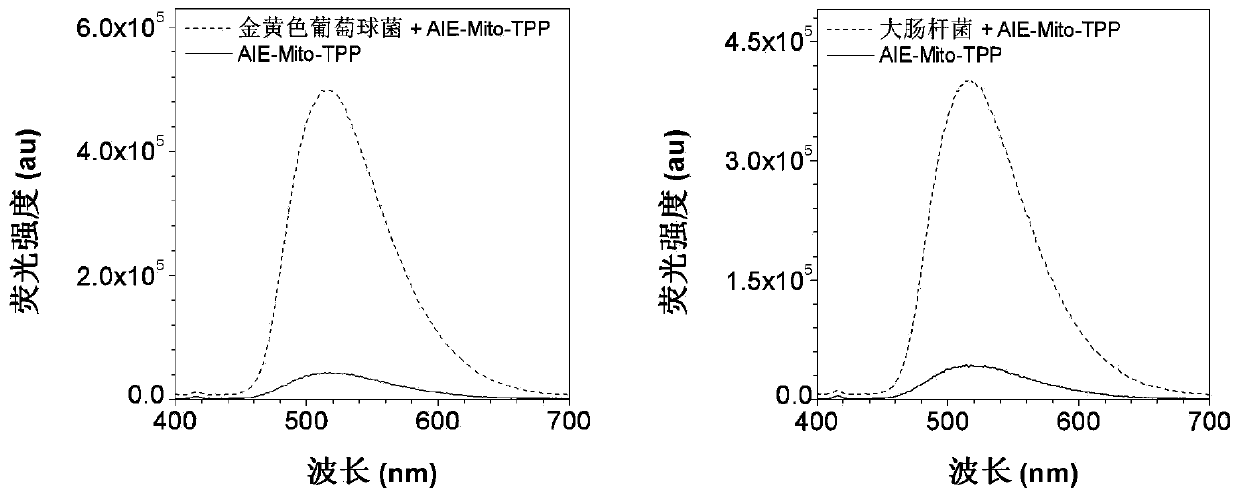 Probe with functions of successive imaging and killing of bacteria and cancer cells and application thereof