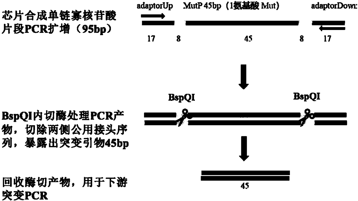 High throughput DNA multi-site precise base mutation method