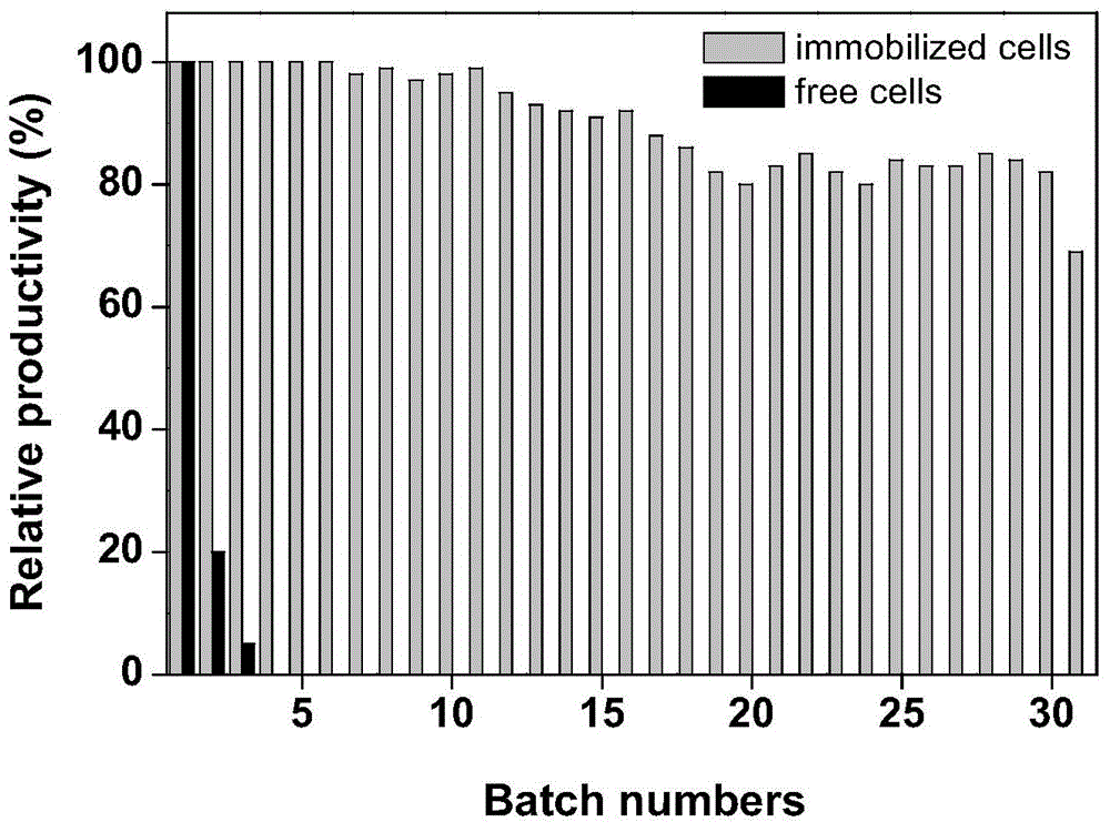 Immobilization method for cells containing nitrilase