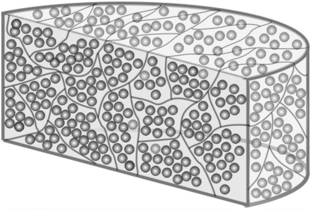 Preparation method of shock-resistant STF (shear thickening fluid) gel