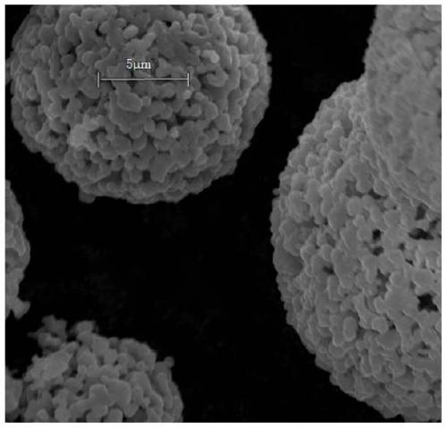 Graphite negative material, preparation method thereof and cell