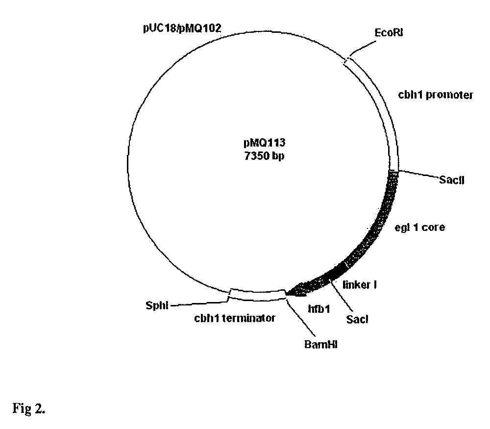 Process for partitioning of proteins