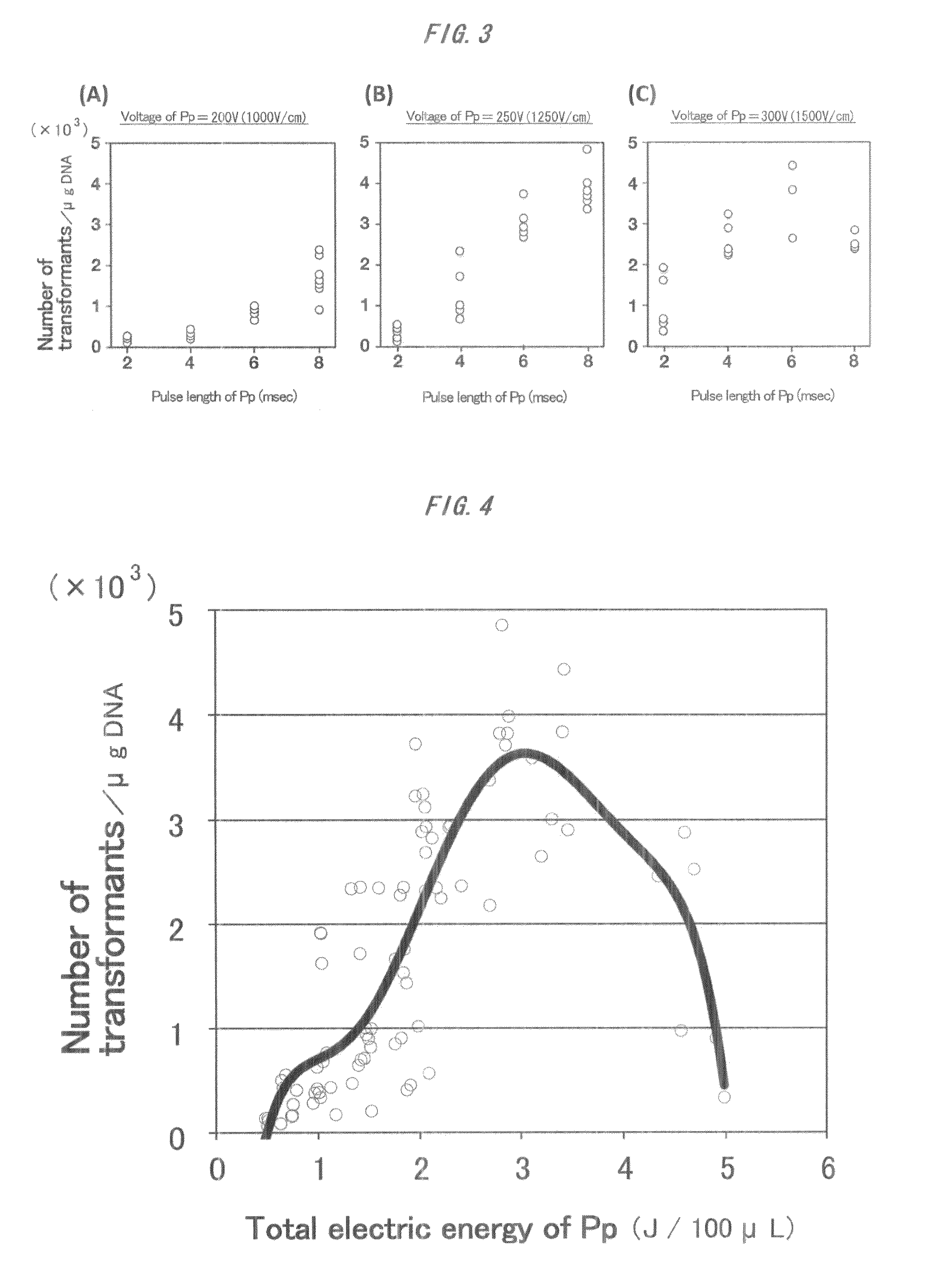 Method of transferring gene into algal cell involving utilizing multiple square-wave pulses in three steps