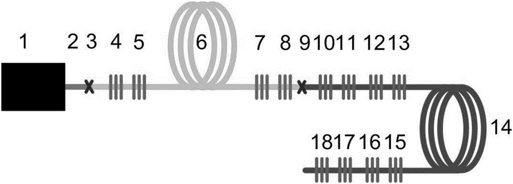 Intermediate infrared multi-band all-fiber soft glass laser and laser obtaining method