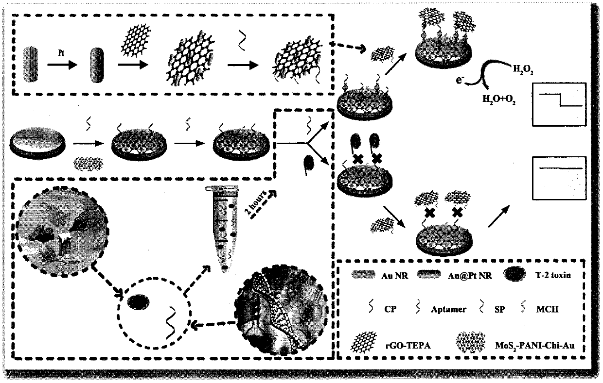 Preparation method for aptamer biosensor for T-2 toxin detection in food or feed