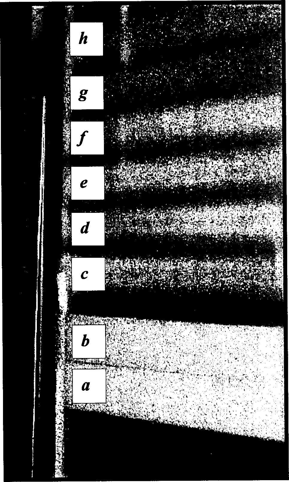 Continuous in-line manufacturing process for high speed coating deposition via kinetic spray process