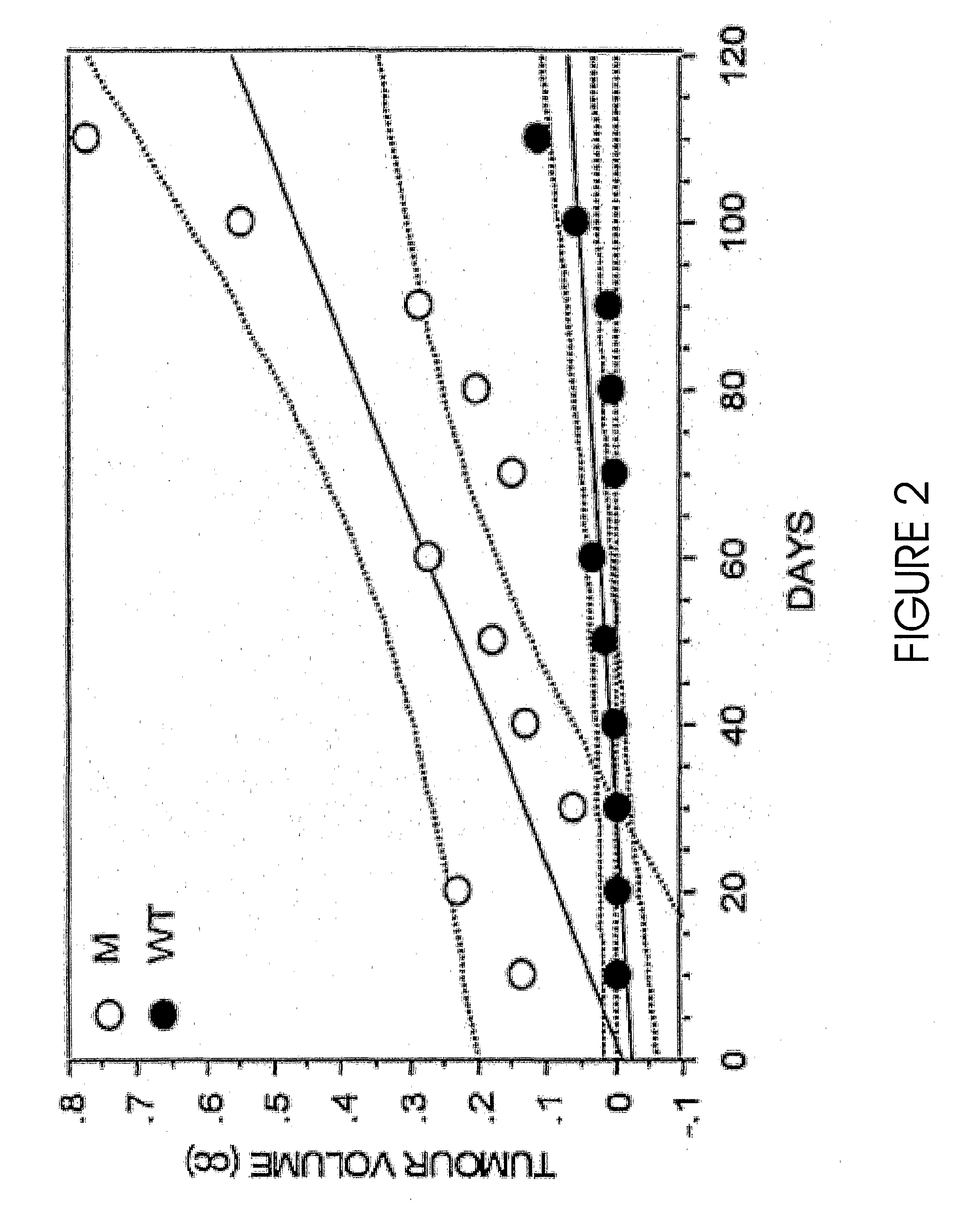 Inherited Mitochondrial Dna Mutations in Cancer