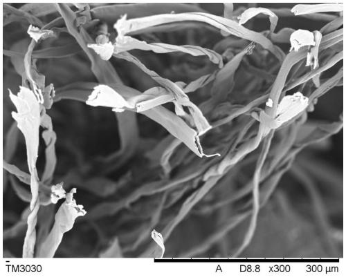 Preparation method of multifunctional calotropis gigantean fiber blended yarn