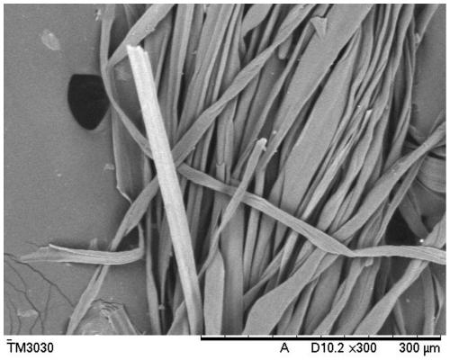 Preparation method of multifunctional calotropis gigantean fiber blended yarn