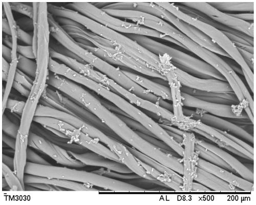 Preparation method of multifunctional calotropis gigantean fiber blended yarn