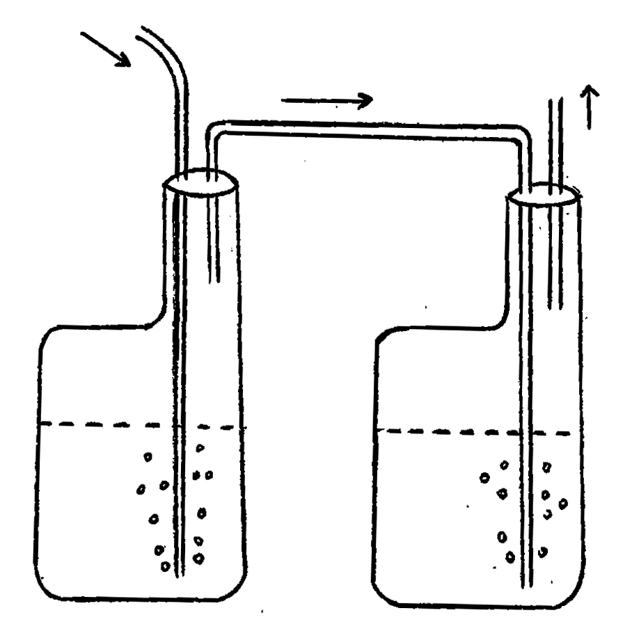 Method for culturing double-micronucleus paramecium by inflating plastic film bag