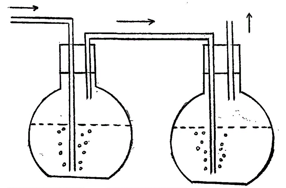 Method for culturing double-micronucleus paramecium by inflating plastic film bag