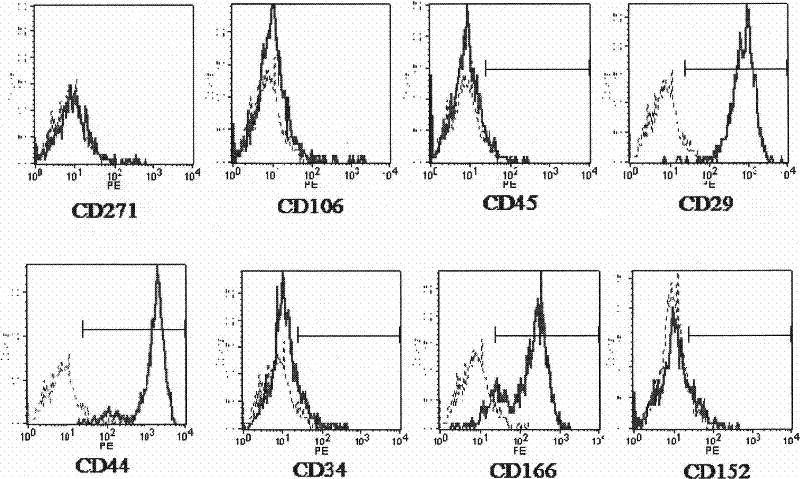 A method for constructing a human umbilical cord mesenchymal stem cell bank