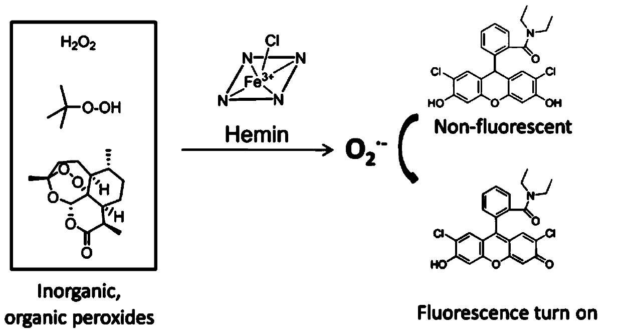 Hydrogenated dichlorofluorescein diacetamide derivative as well as preparation method and application thereof