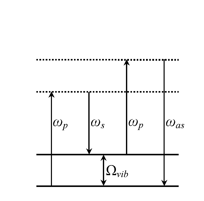 System and method for carrying out CARS (Coherent anti-Stokes Raman Scattering) imaging by using four-wave mixing signals generated by optical fiber