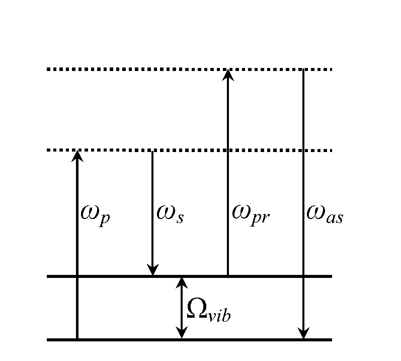 System and method for carrying out CARS (Coherent anti-Stokes Raman Scattering) imaging by using four-wave mixing signals generated by optical fiber