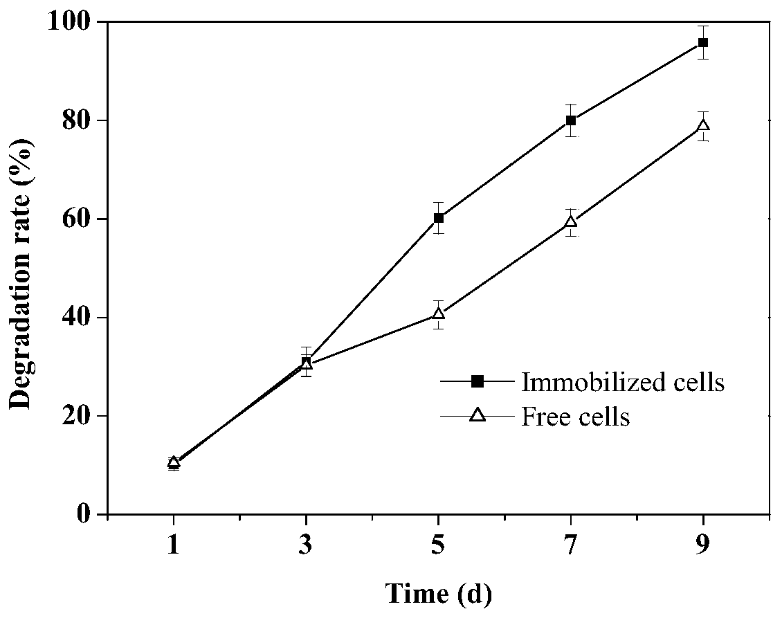 Preparation method and application of immobilized Brevundimonas naejangsanensis bacteria highly efficient in degrading Dimetachlone