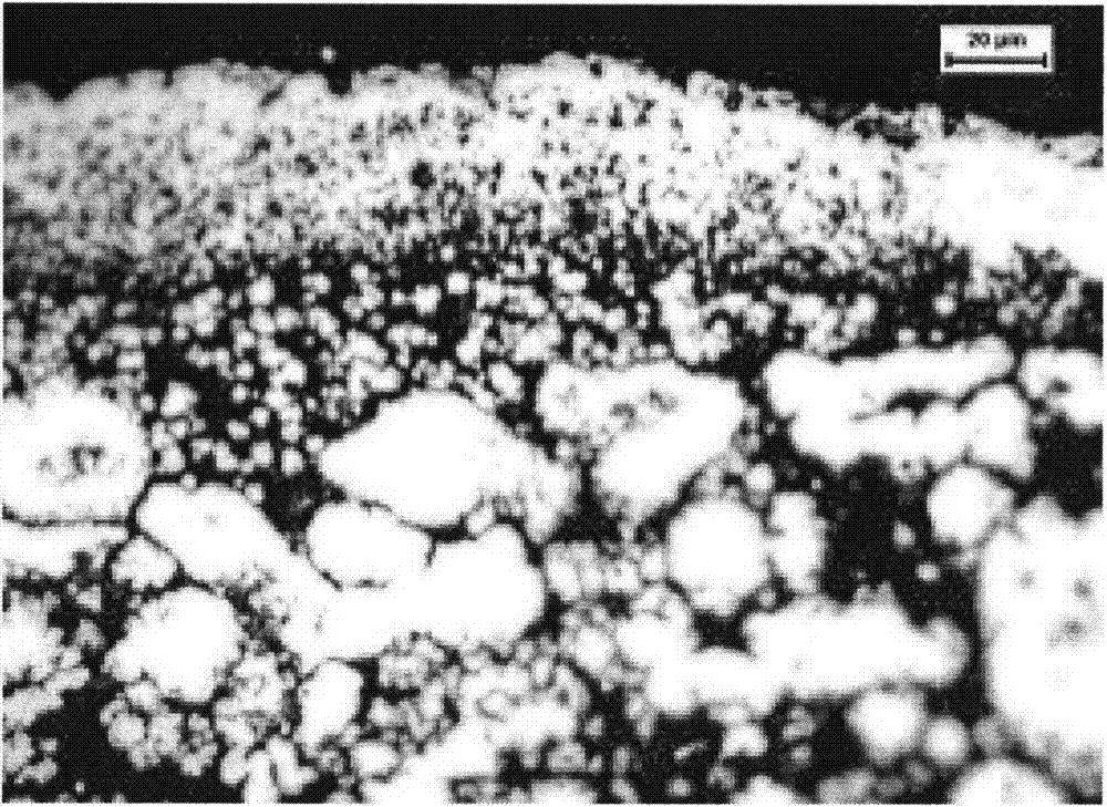 Preparation method of porous stainless steel film