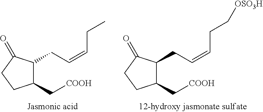 Jasmonic acid compounds in cocoa products