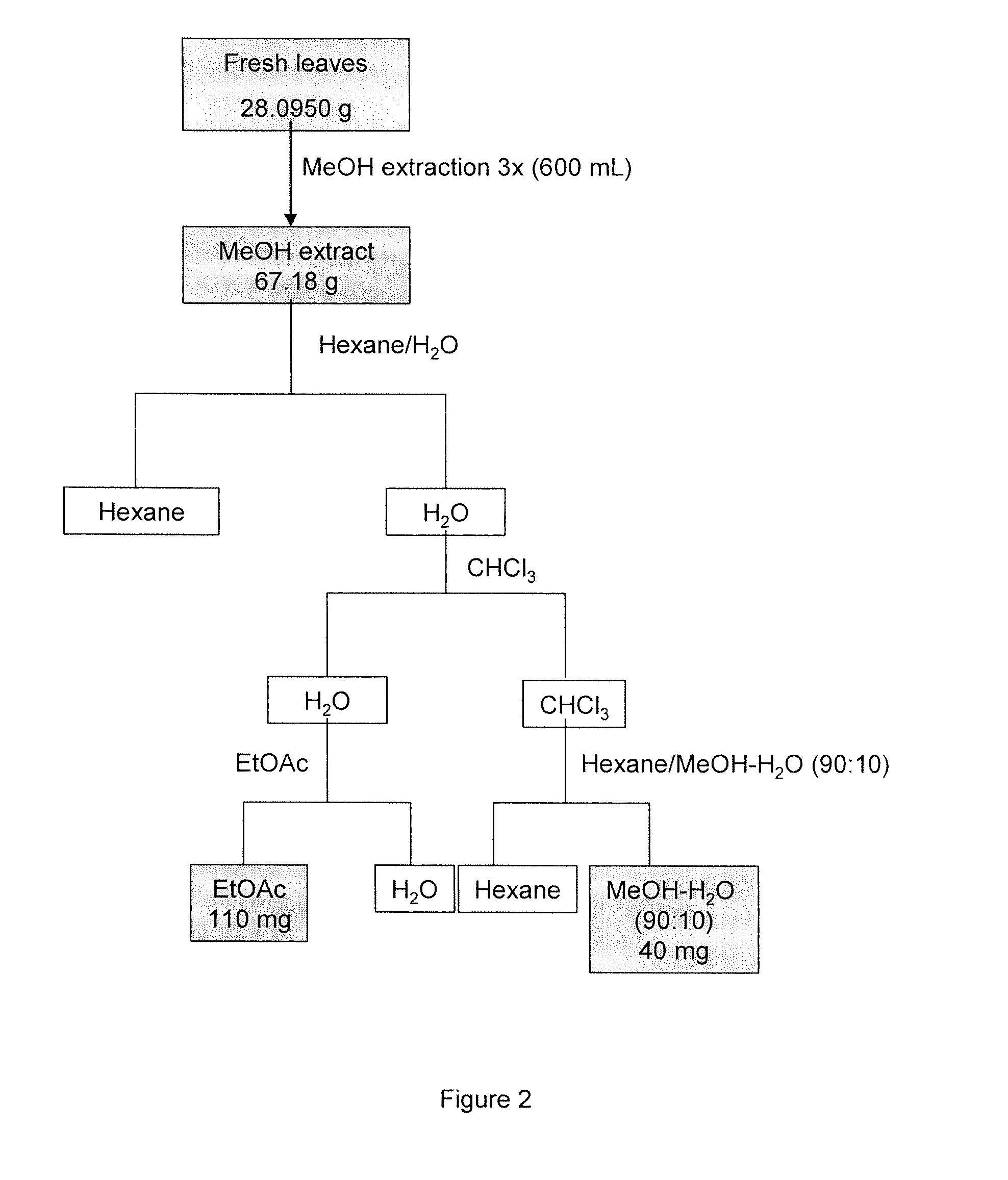 Jasmonic acid compounds in cocoa products