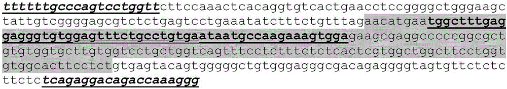 Novel vertebrate cells and methods for recombinantly expressing a polypeptide of interest