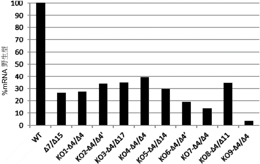 Novel vertebrate cells and methods for recombinantly expressing a polypeptide of interest