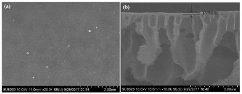 Preparation method of polyacrylonitrile-based composite loose nanofiltration membrane