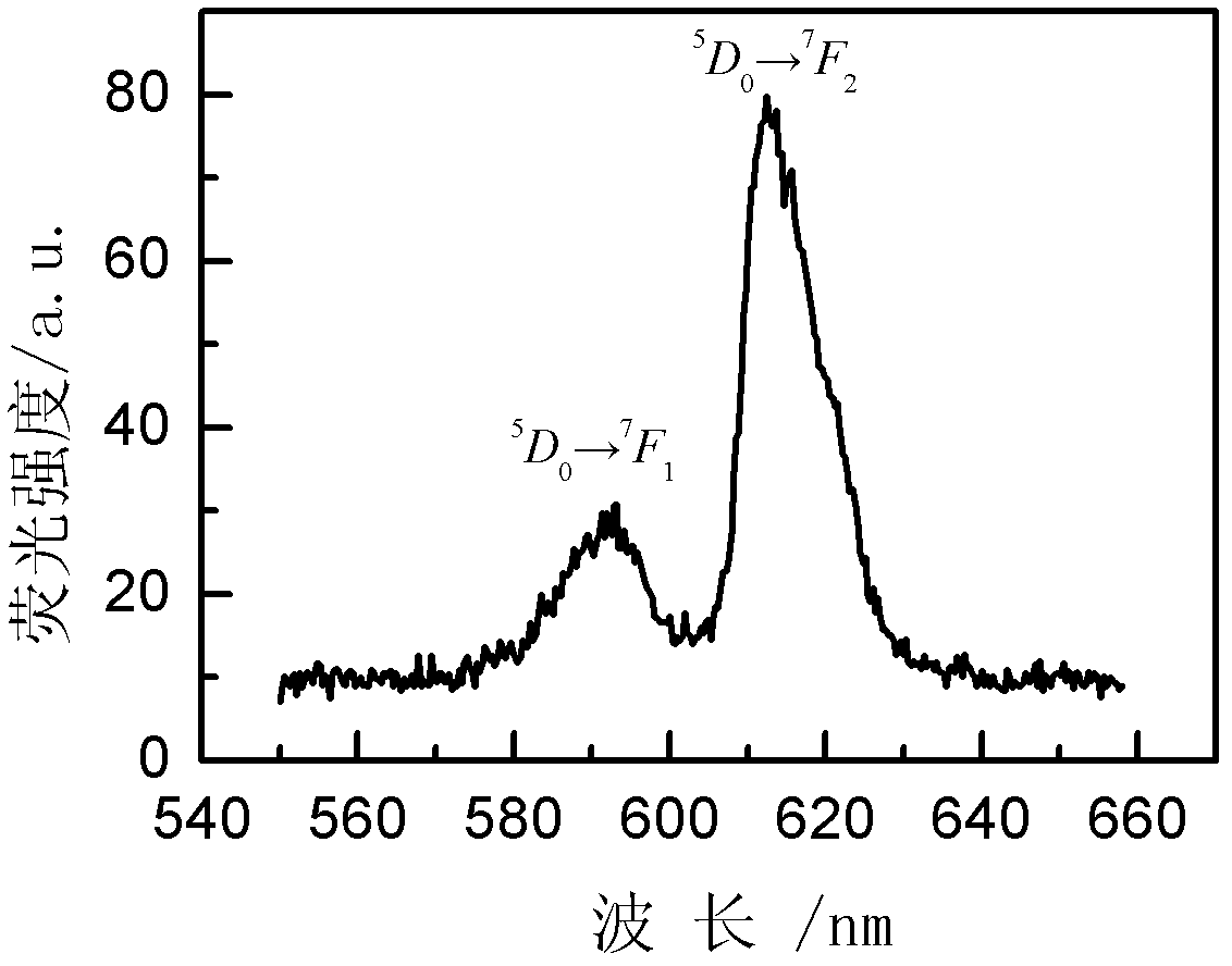 Rare earth doped oxyfluoride tellurite scintillation glass and preparation method thereof