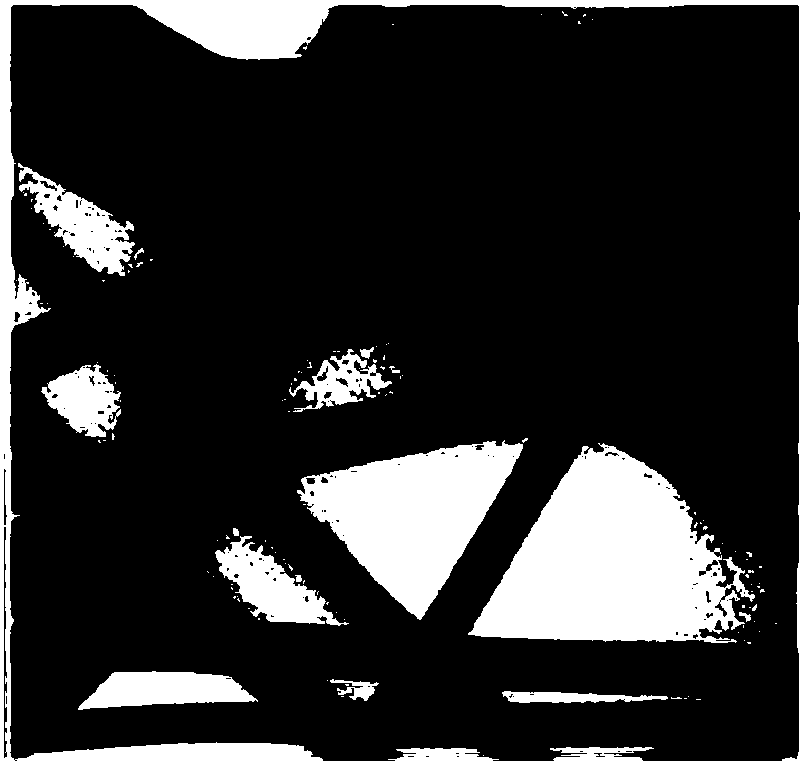 Preparation method of ZnO/Ag nanofiber film by electrospinning method