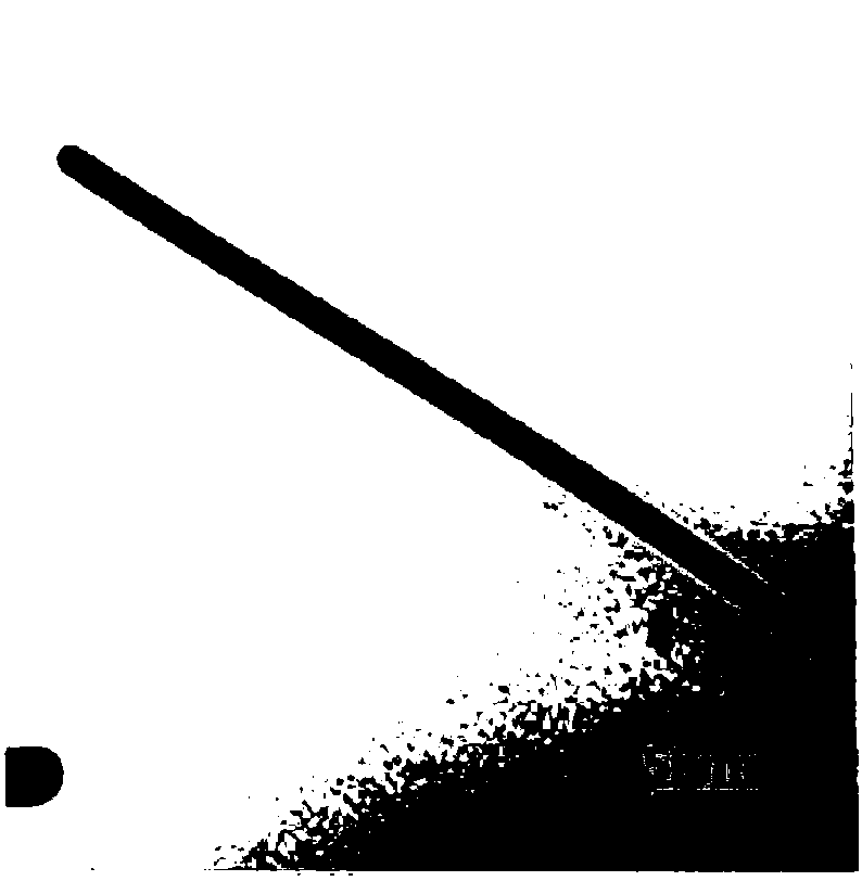 Preparation method of ZnO/Ag nanofiber film by electrospinning method