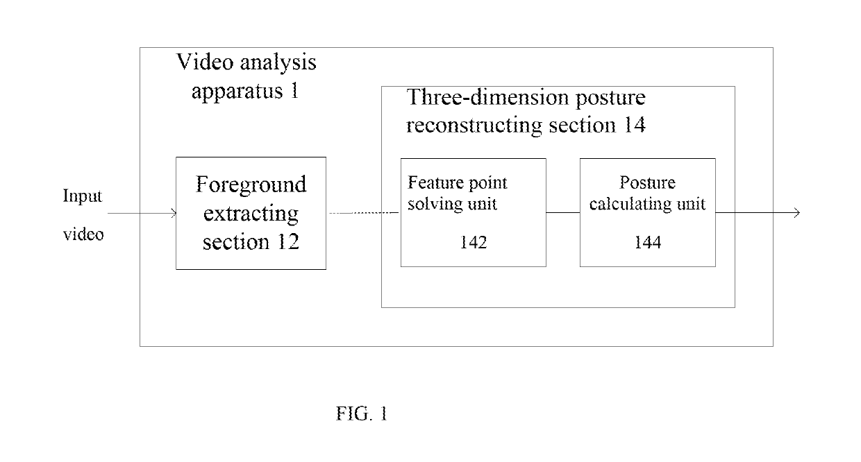 Video analysis for 3D reconstruction of insect behavior