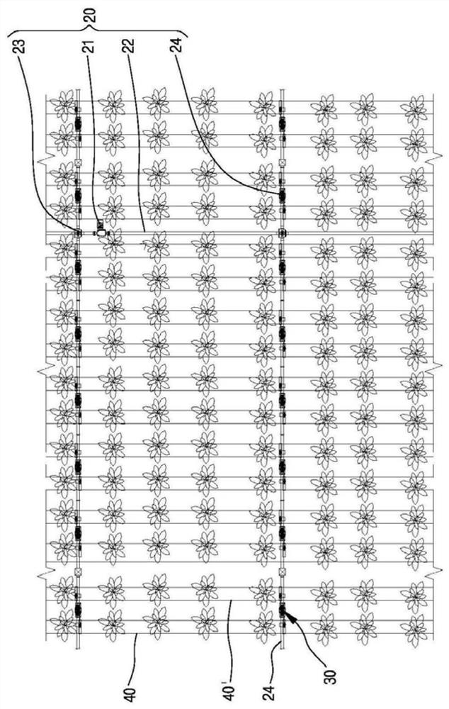 plant cultivation system