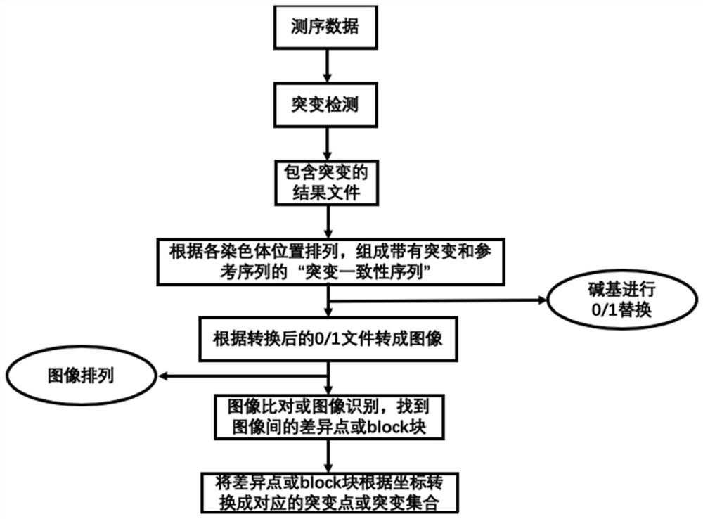 Method and system for analyzing gene sequencing data