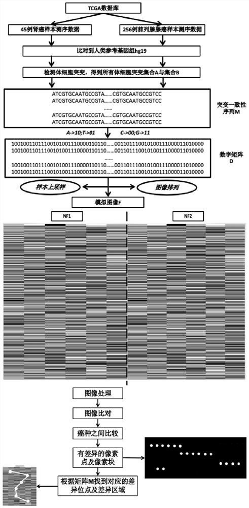 Method and system for analyzing gene sequencing data