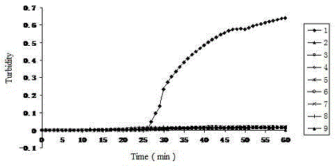 Reverse transcription loop-mediated isothermal amplification kit for detecting pestedes petits ruminants viruses