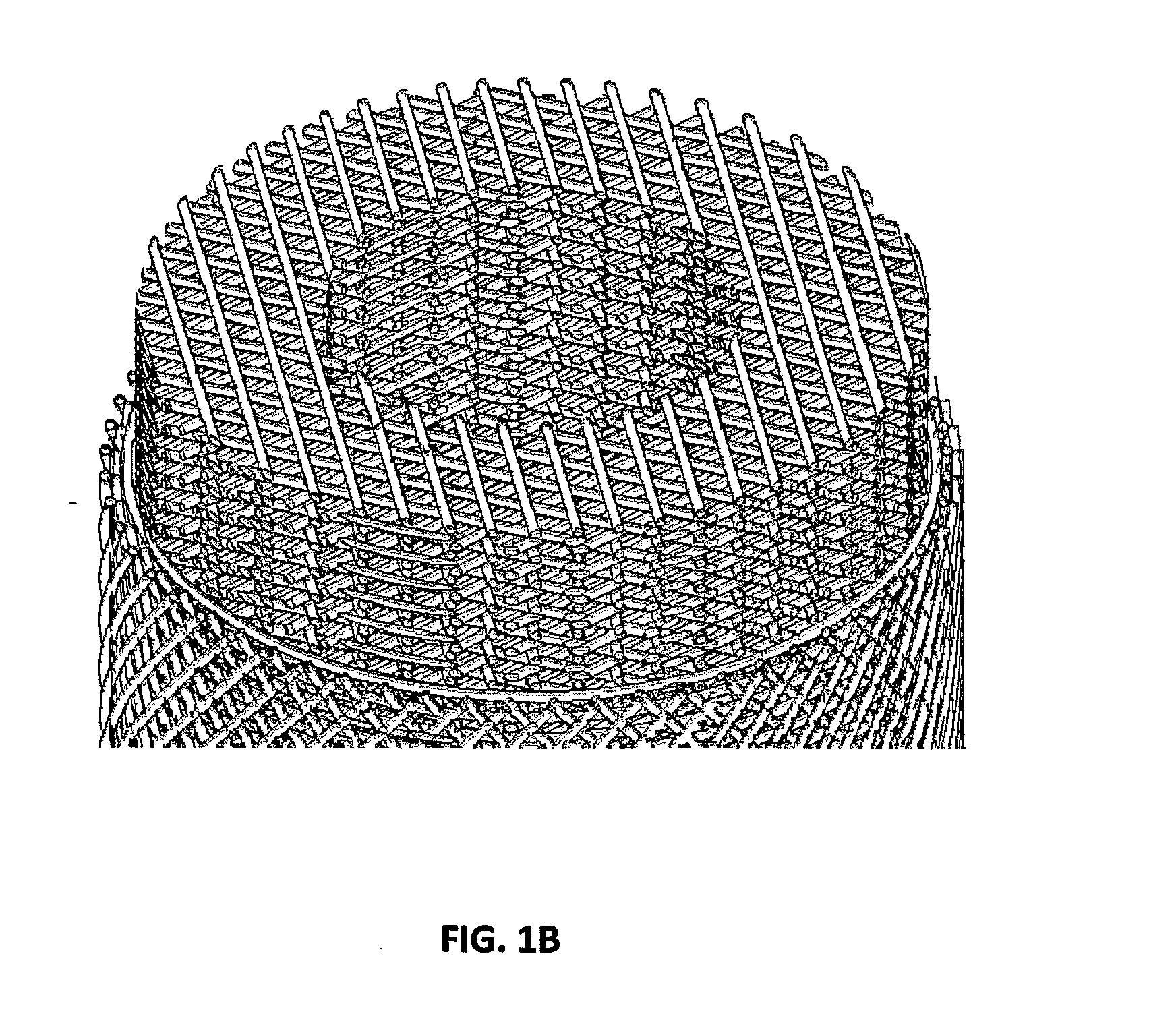 Resorbable Scaffolds For Bone Repair And Long Bone Tissue Engineering