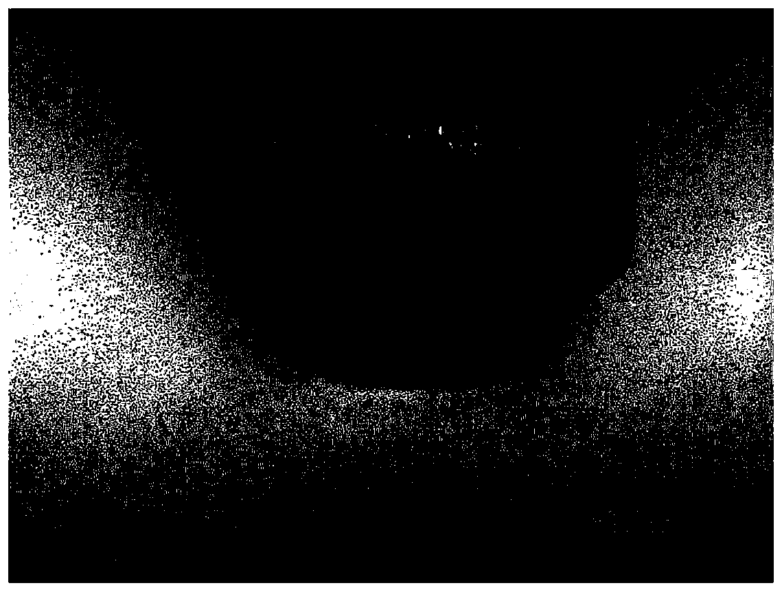 Machining method for quickly forming nanometer twin-crystal diamond micro cutter