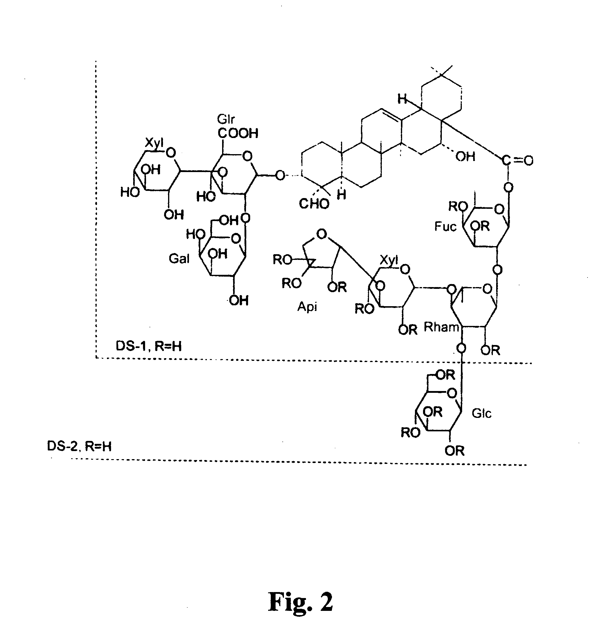 Saponins as anticancer agent