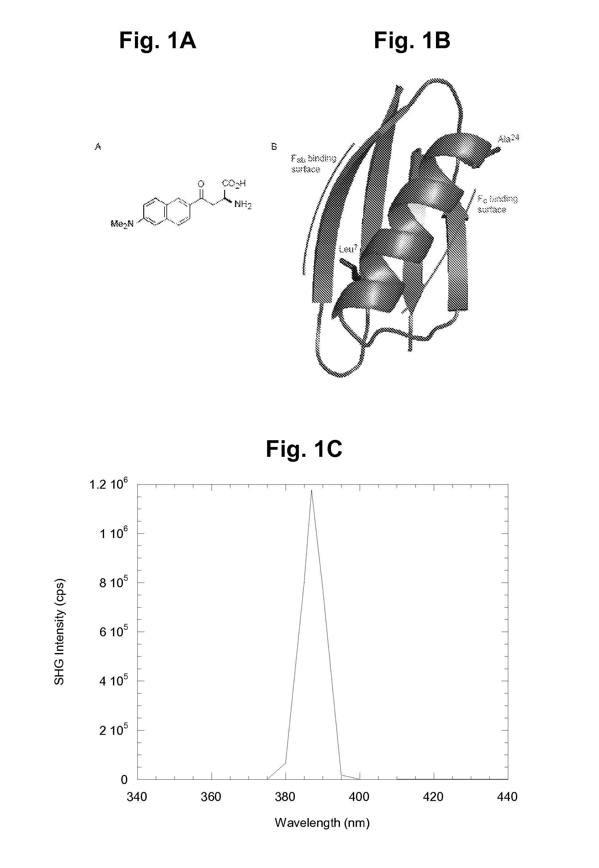 Nonlinear optical detection of molecules comprising an unnatural amino acid possessing a hyperpolarizability