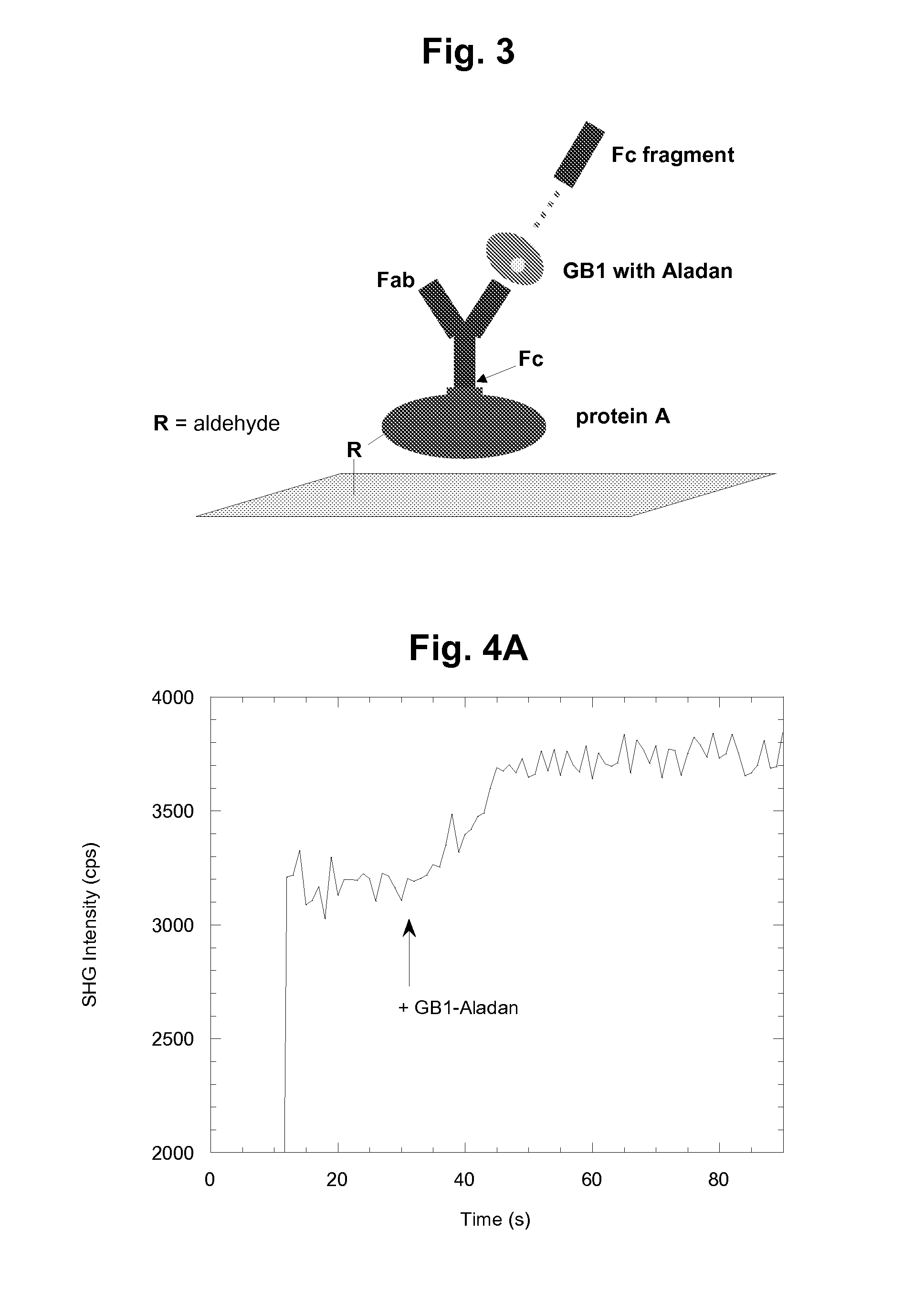 Nonlinear optical detection of molecules comprising an unnatural amino acid possessing a hyperpolarizability