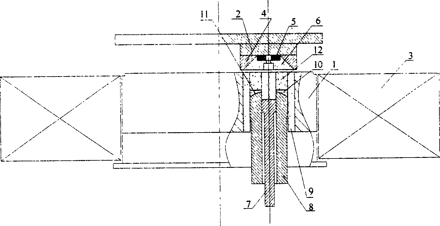 Preparation method of ferrite for microwave production and die arrangement thereof