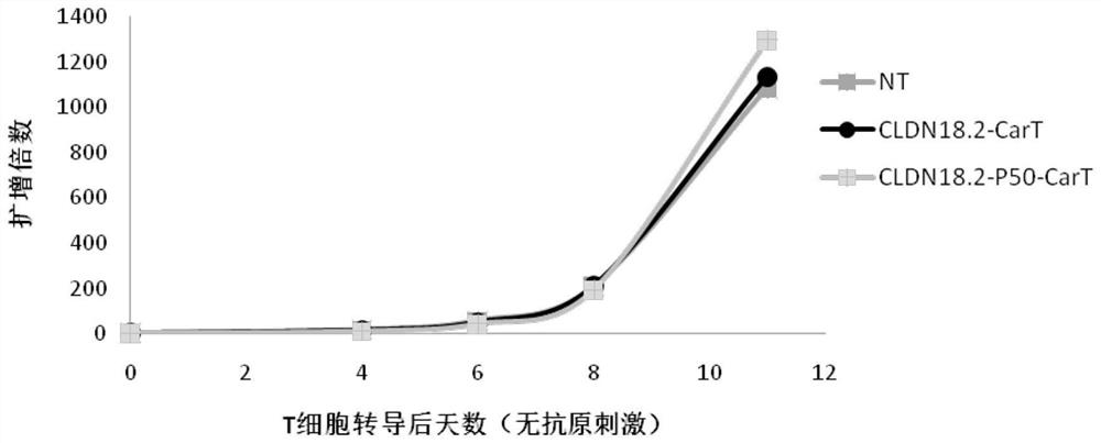 Immune cell capable of simultaneously expressing fusion protein and chimeric antigen receptor and application of immune cell