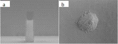 High specific surface area mesoporous zinc oxide nano-cluster and preparation method thereof