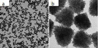 High specific surface area mesoporous zinc oxide nano-cluster and preparation method thereof