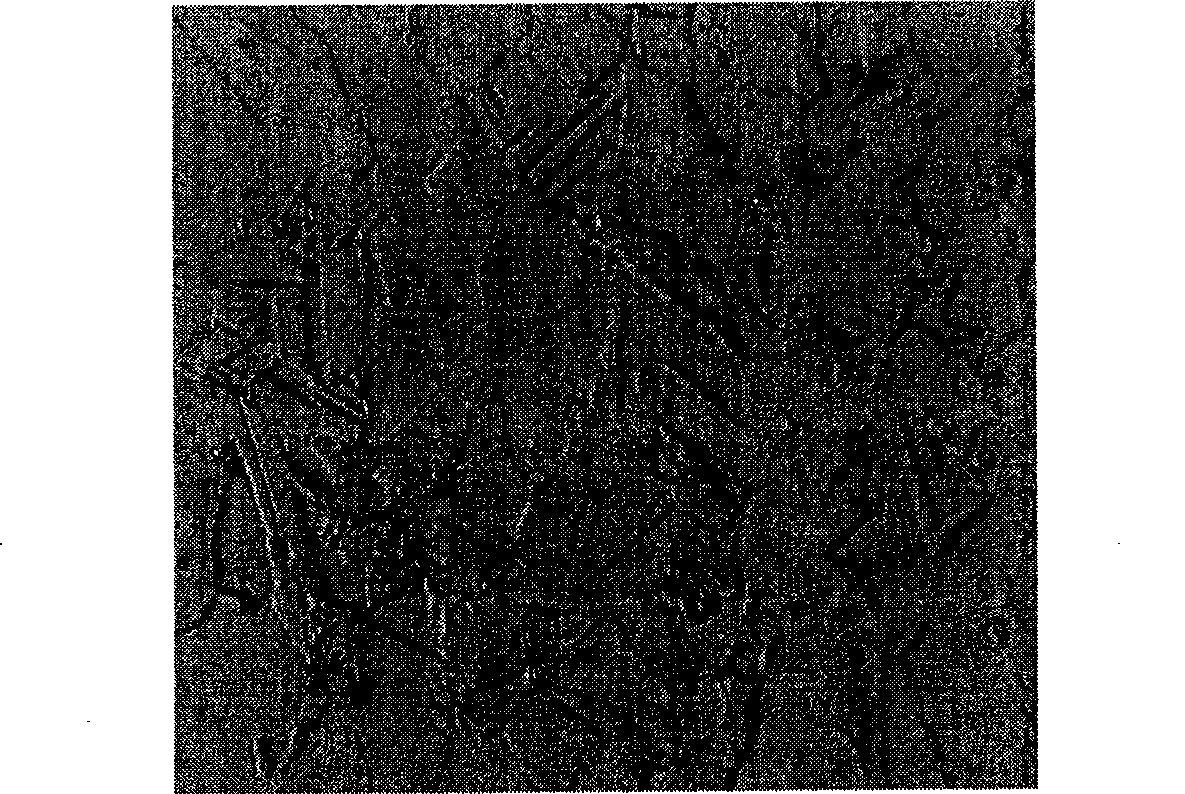 Method for preparing high-intensity and high-plasticity iron steel material with high manganese and aluminum contents