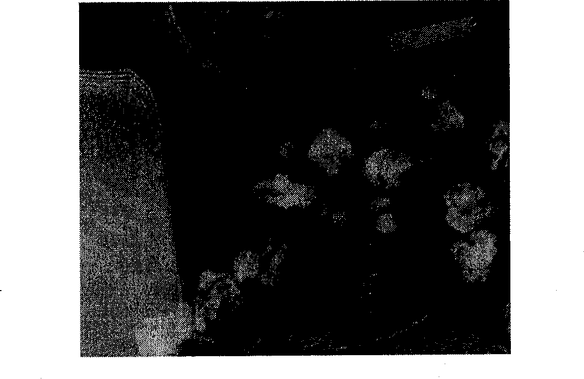 Method for preparing high-intensity and high-plasticity iron steel material with high manganese and aluminum contents