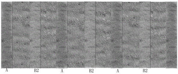 Biological improvement method of saline-alkali land