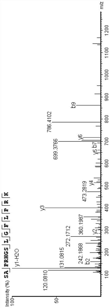 Bioactive peptide SAPRHGSLGFLPRK and preparation method and application thereof