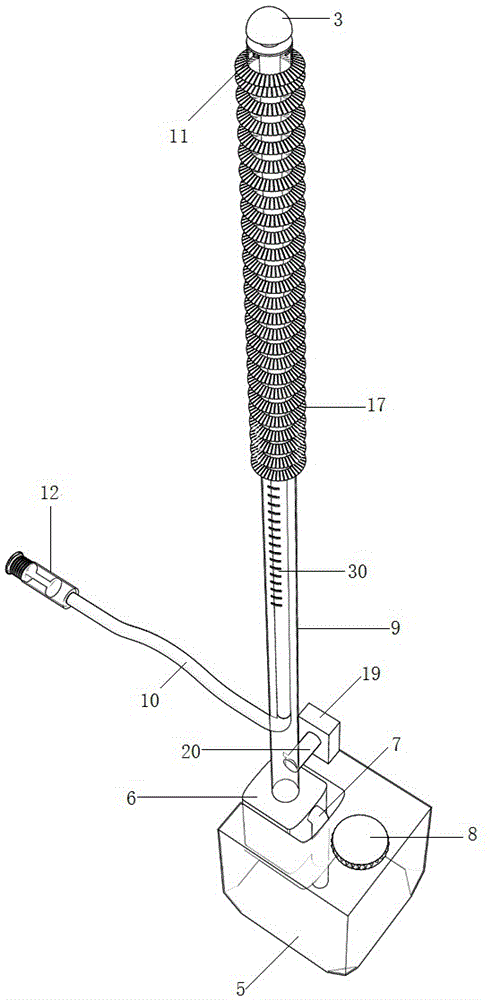 Auditory meatus cleaning device